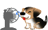 ani_inu_fun1
