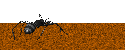 FQ̃A