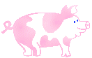 buta13