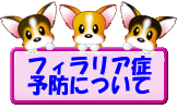 tBAǗ\hɂĂ̐ł