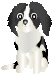 iCk