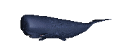 NW