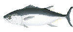 j~߂Ȃ}O