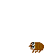nomi
