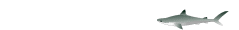 T̃T