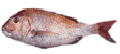 TJi