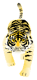 Օ