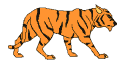 tora24
