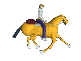 ƏlƉn