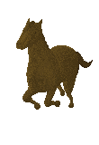 E}͂