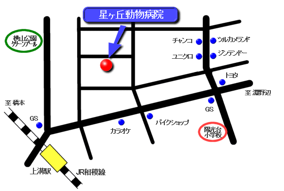 map1